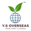 ysoverseasindia.com